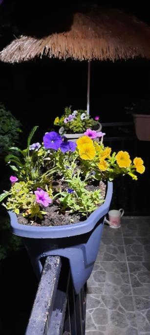 סראייבו Apartment Kapo- Klima,Parking מראה חיצוני תמונה