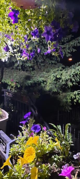 סראייבו Apartment Kapo- Klima,Parking מראה חיצוני תמונה